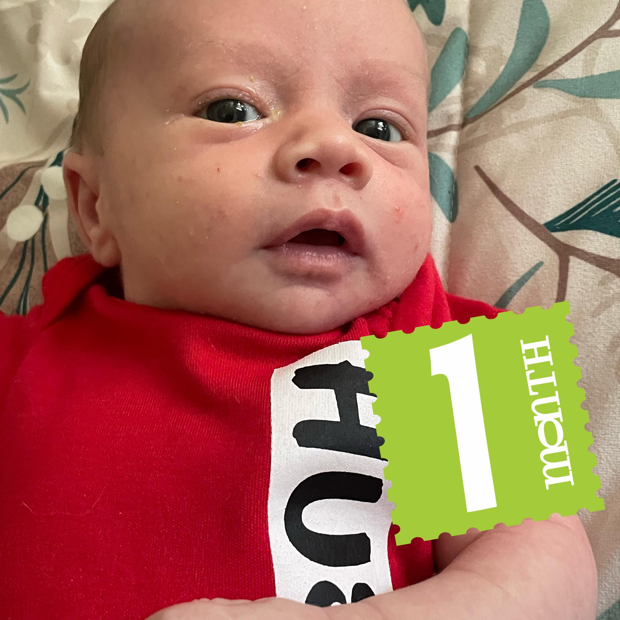 ♥ Bastian-1 Mth Old ♥