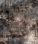 CrypBg141