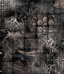 CrypBg231