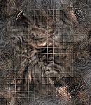 CrypBg293