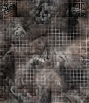 CrypBg321