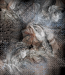 CrypBg355