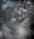 CrypBg356