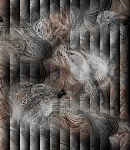 CrypBg376