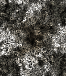 CrypBg95
