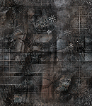 crypdudenewbg114