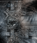 crypdudenewbg122