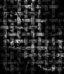 crypdudenewbg24
