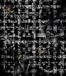 crypdudenewbg25