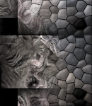 crypdudenewbg27