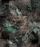 crypdudenewbg64