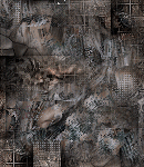crypdudenewbg66