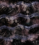 Insomniac