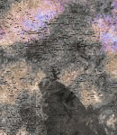 crypdudenewbg143