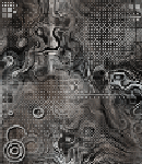 crypdudenewbg155