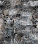 crypdudenewbg160