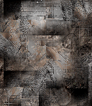 crypdudenewbg63