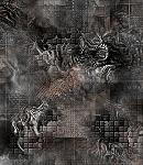 crypdudenewbg79