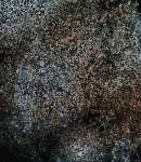 crypdudenewbg89