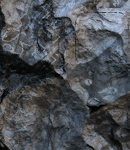 crypdudenewbg90