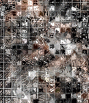 CrypBg205
