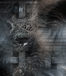 crypdudenewbg121