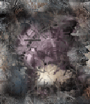 crypdudenewbg164