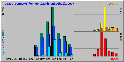 Usage summary for schizophrenicchelle.com